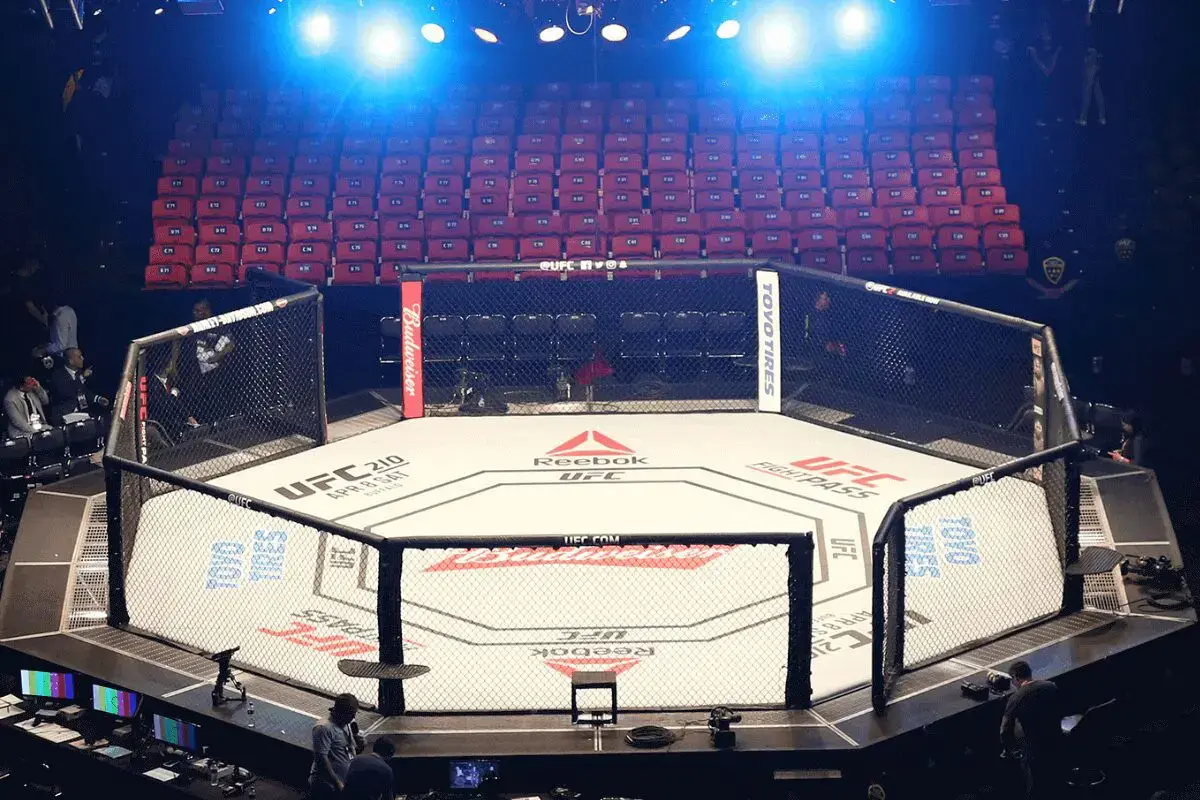 Referee Penalizes Fighter for Illegal Move in UFC 330 Prelims